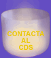 Contact COS